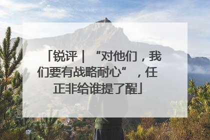 锐评｜“对他们，我们要有战略耐心”，任正非给谁提了醒